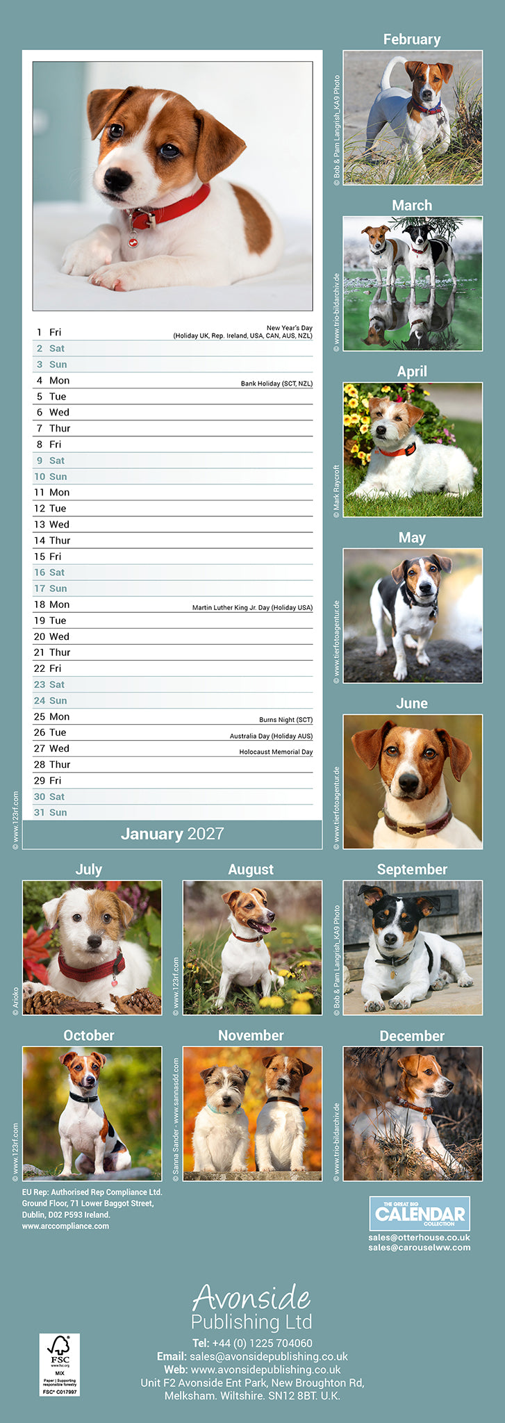 Jack Russell Slim Calendar 2027