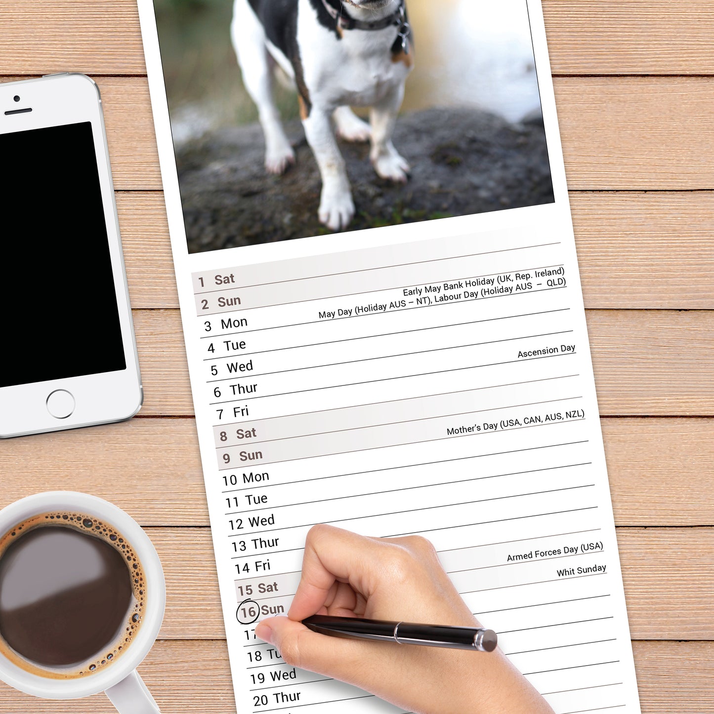 Jack Russell Slim Calendar 2027