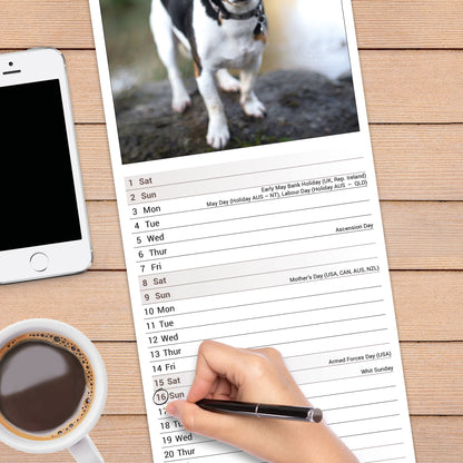 Jack Russell Slim Calendar 2027