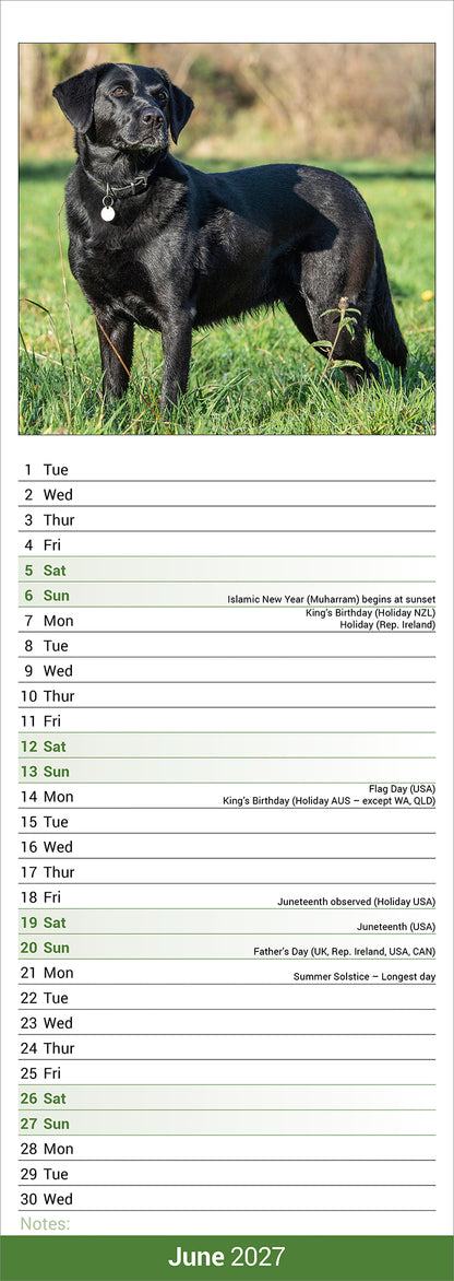 Labrador Retriever Black Slim Calendar 2027