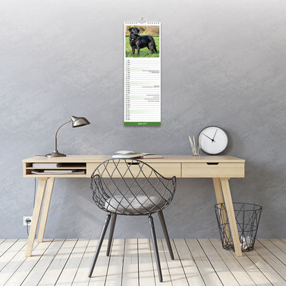 Labrador Retriever Black Slim Calendar 2027