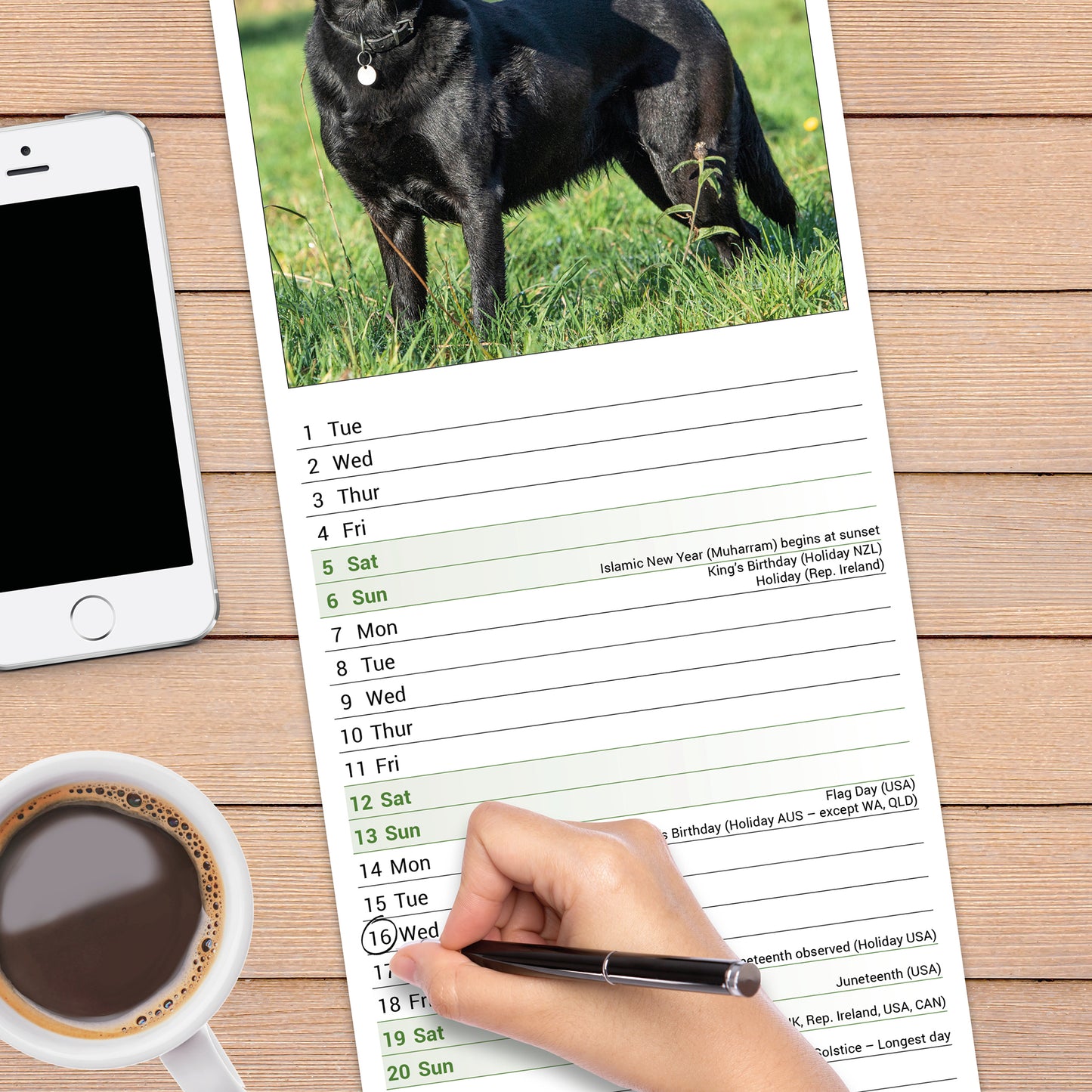 Labrador Retriever Black Slim Calendar 2027