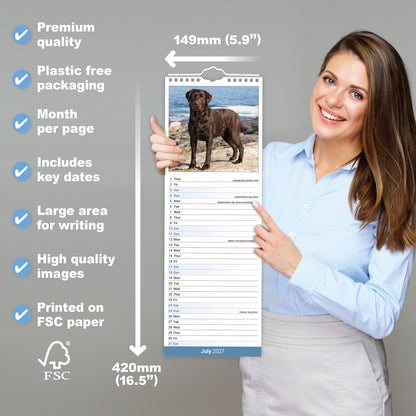 Labrador Retriever Chocolate Slim Calendar 2027
