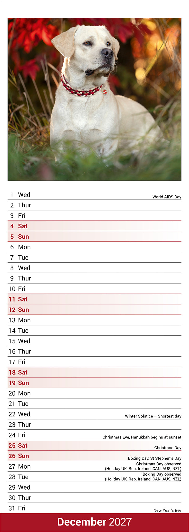 Labrador Retriever Yellow Slim Calendar 2027