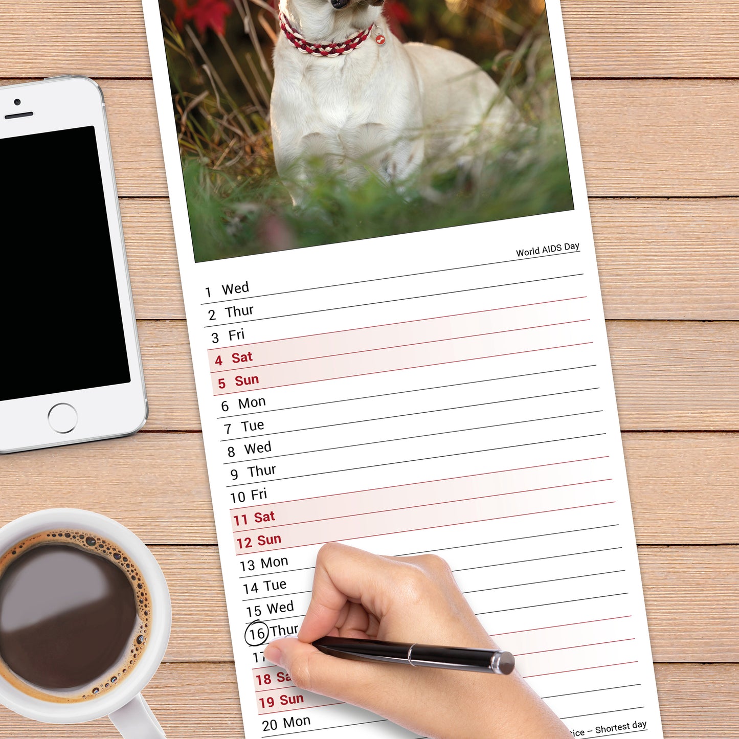Labrador Retriever Yellow Slim Calendar 2027