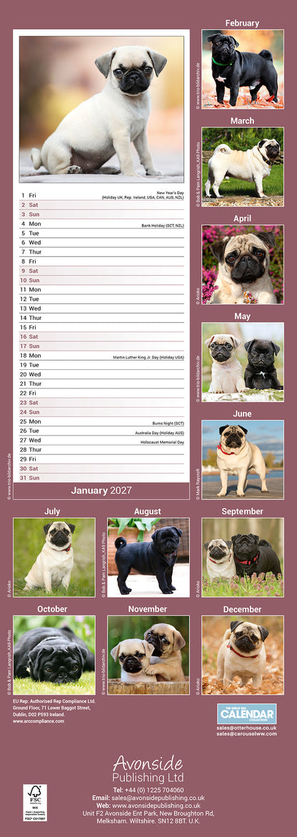 Pug Slim Calendar 2027