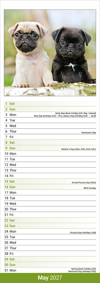 Pug Slim Calendar 2027