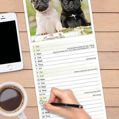 Pug Slim Calendar 2027