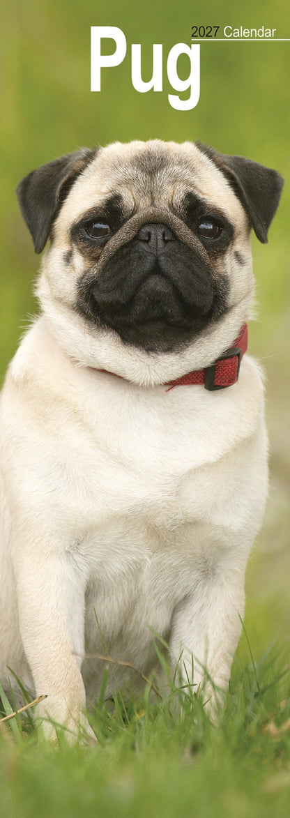 Pug Slim Calendar 2027