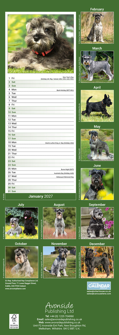 Schnauzer Slim Calendar 2027