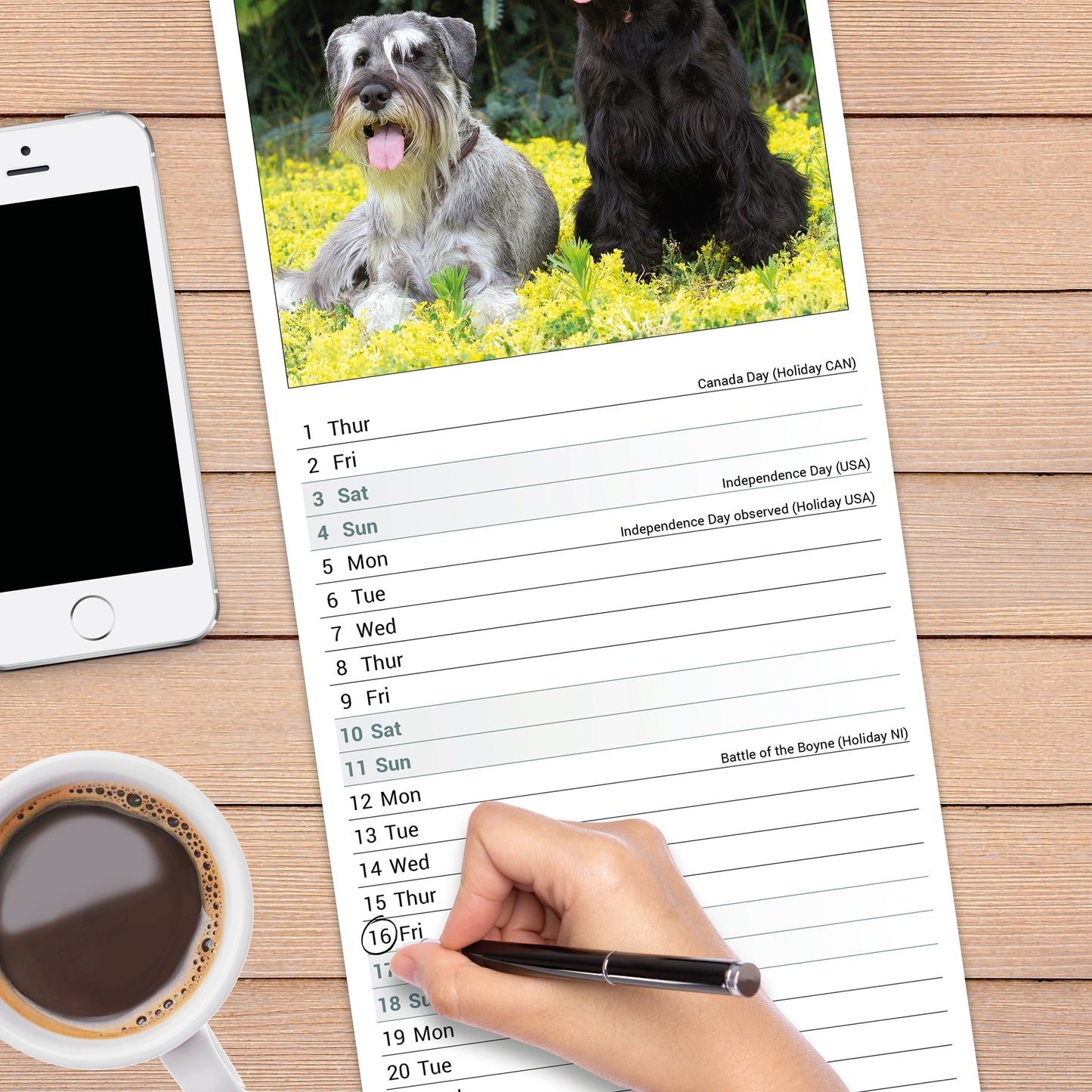 Schnauzer Slim Calendar 2027