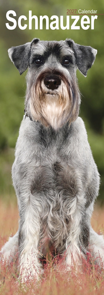 Schnauzer Slim Calendar 2027