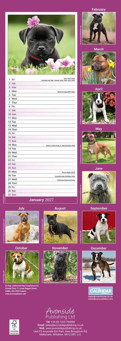 Staffordshire Bull Terrier Slim Calendar 2027