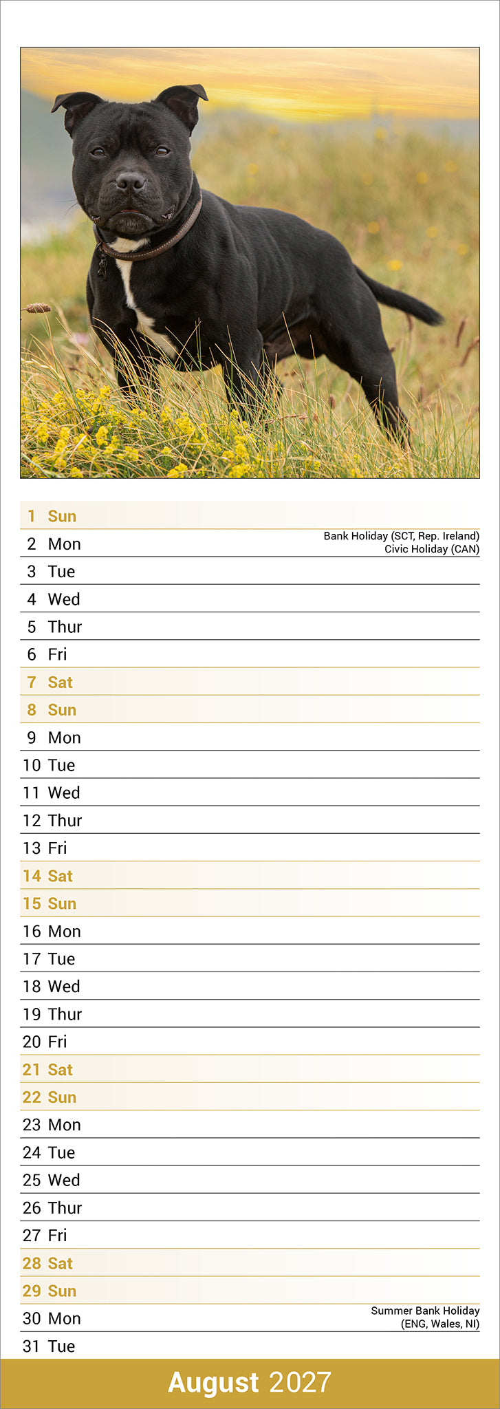 Staffordshire Bull Terrier Slim Calendar 2027
