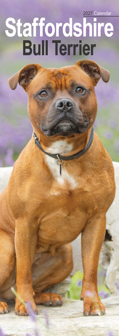 Staffordshire Bull Terrier Slim Calendar 2027