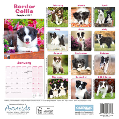 Border Collie Puppies Mini Calendar 2027