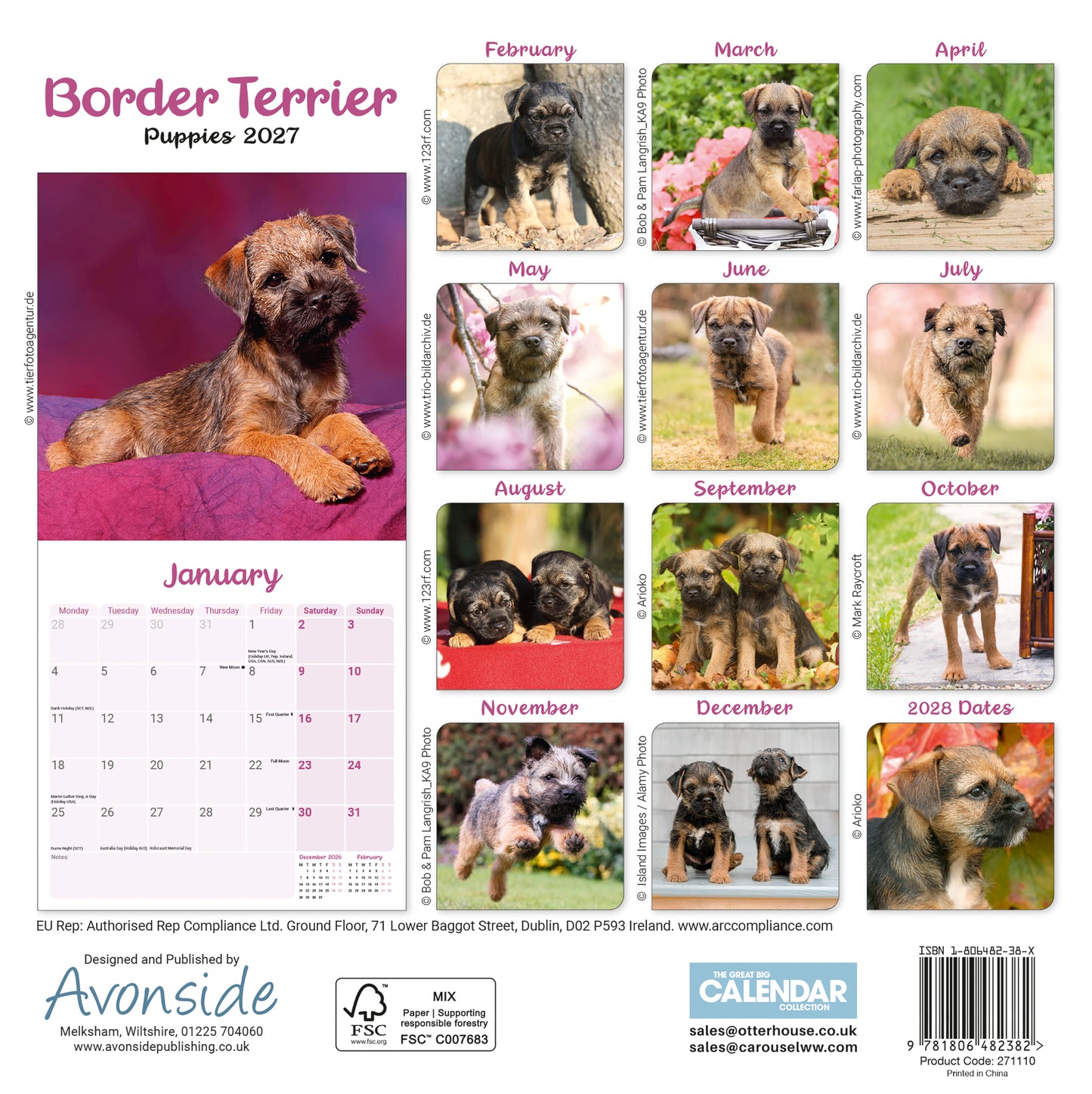Border Terrier Puppies Mini Calendar 2027