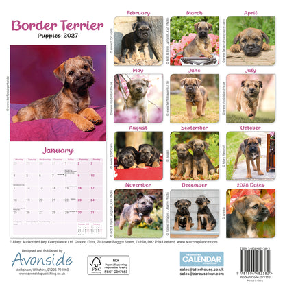 Border Terrier Puppies Mini Calendar 2027