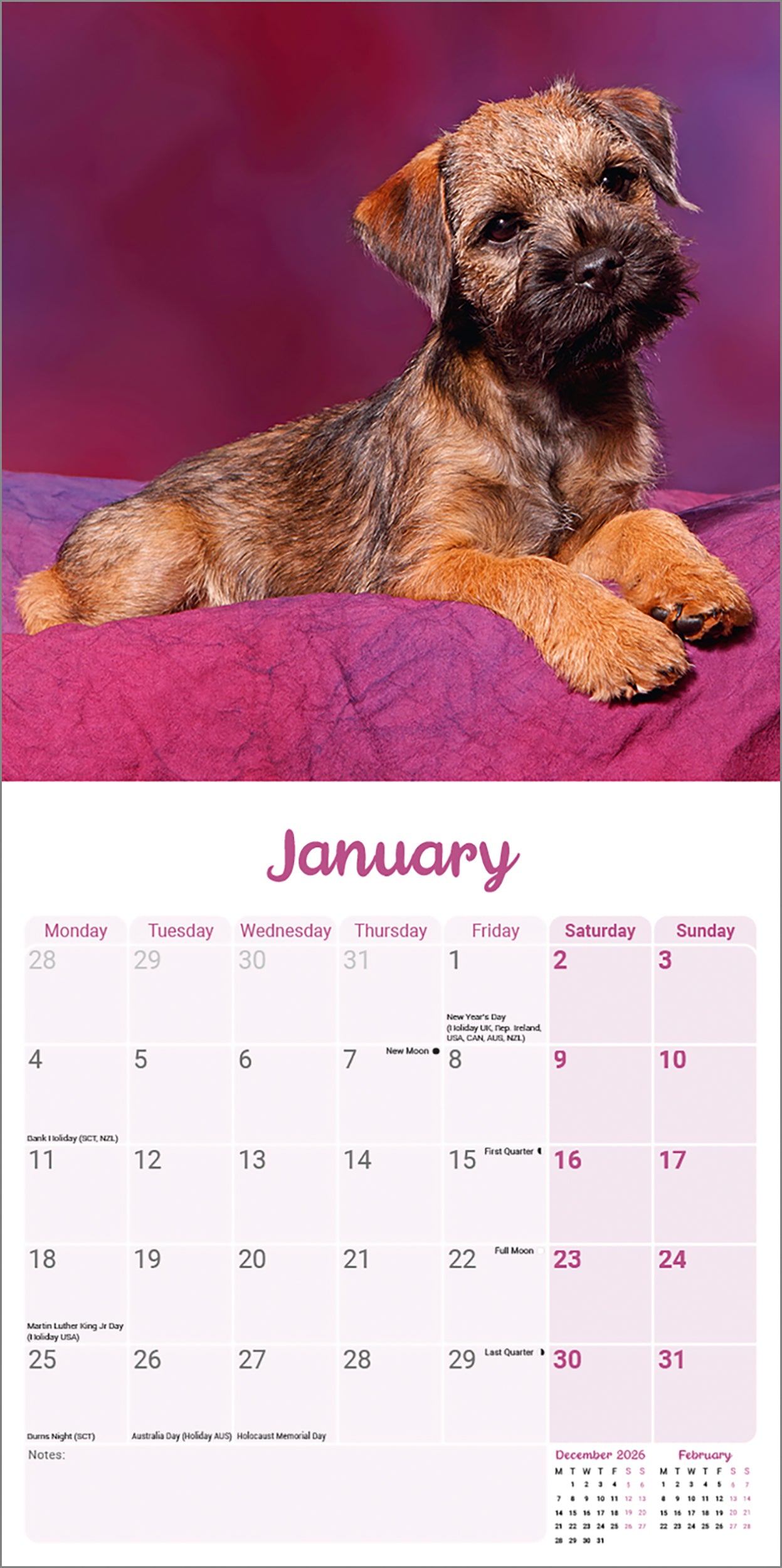 Border Terrier Puppies Mini Calendar 2027