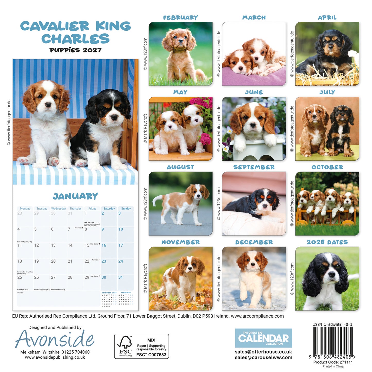 Cavalier King Charles Spaniel Puppies Mini Calendar 2027