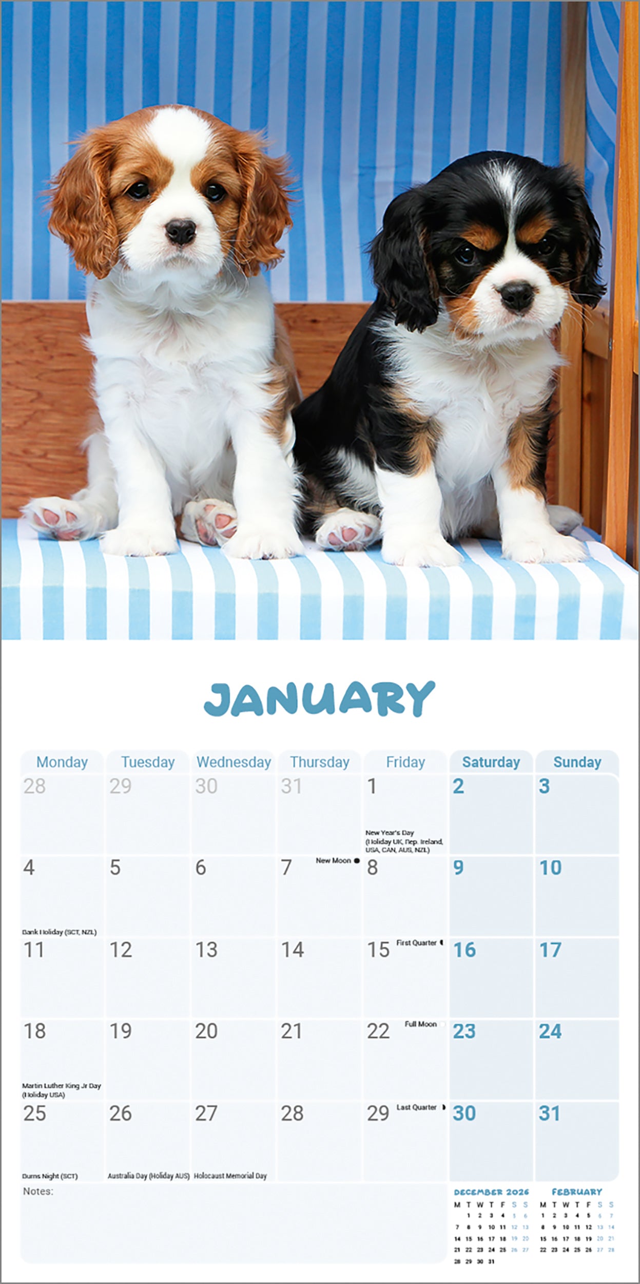 Cavalier King Charles Spaniel Puppies Mini Calendar 2027