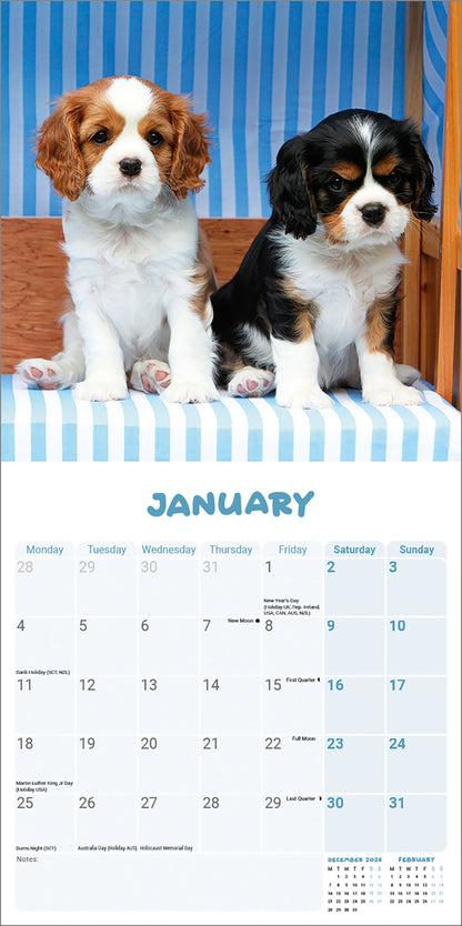 Cavalier King Charles Spaniel Puppies Mini Calendar 2027
