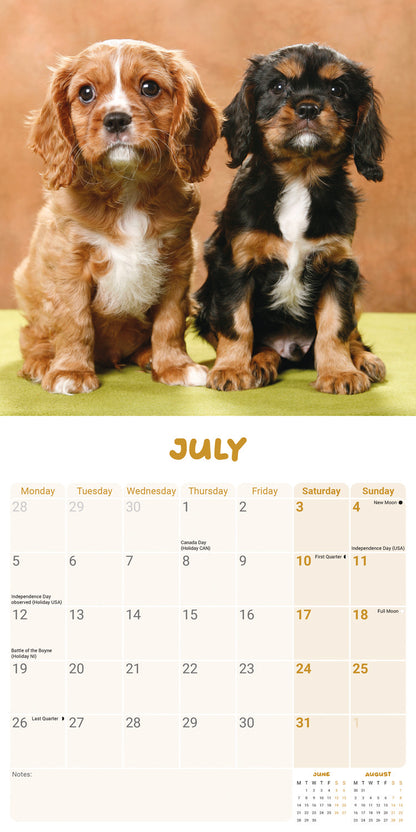 Cavalier King Charles Spaniel Puppies Mini Calendar 2027
