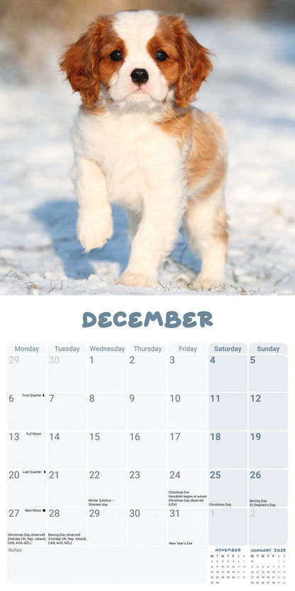 Cavalier King Charles Spaniel Puppies Mini Calendar 2027