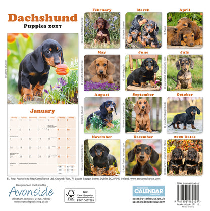 Dachshund Puppies Mini Calendar 2027