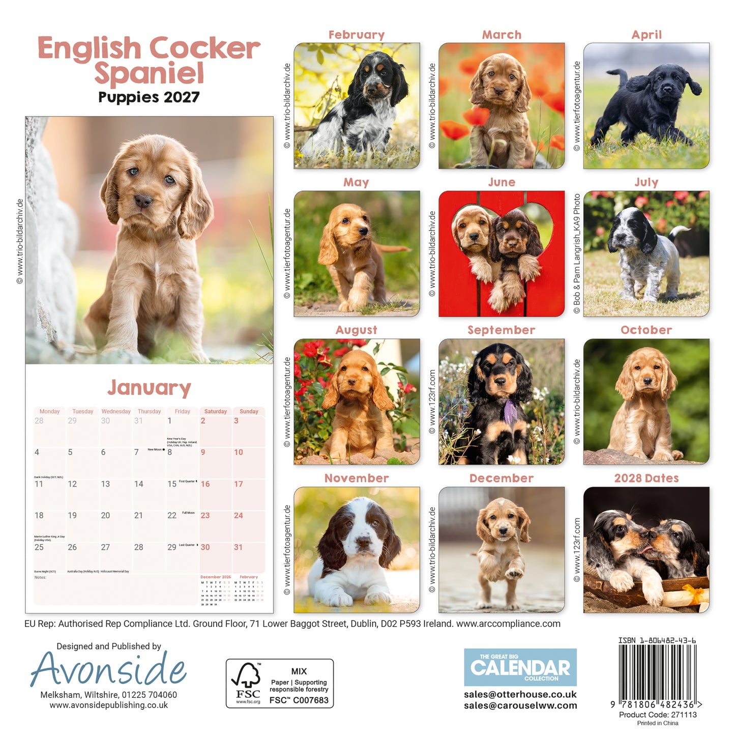 English Cocker Spaniel Puppies Mini Calendar 2027