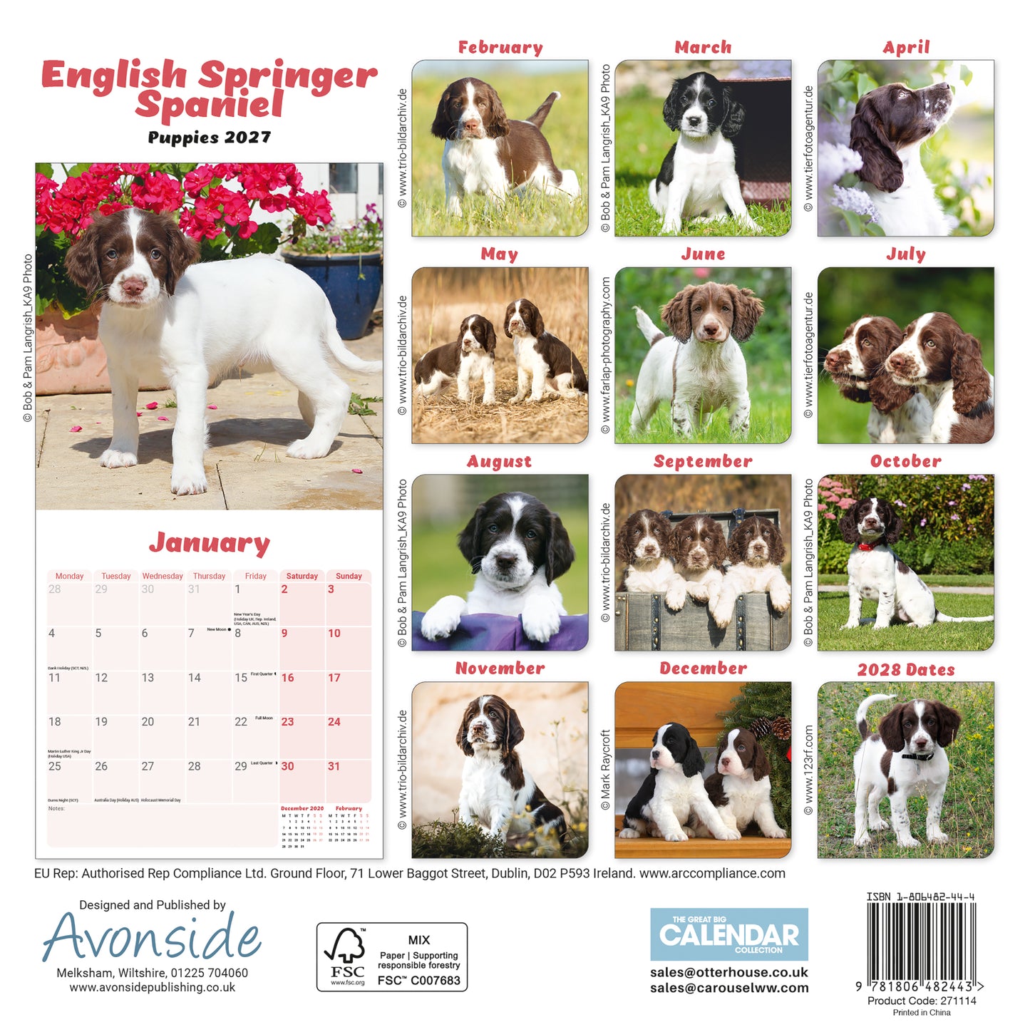 English Springer Spaniel Puppies Mini Calendar 2027