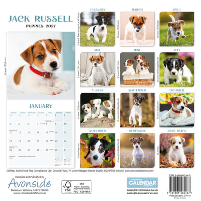 Jack Russell Puppies Mini Calendar 2027