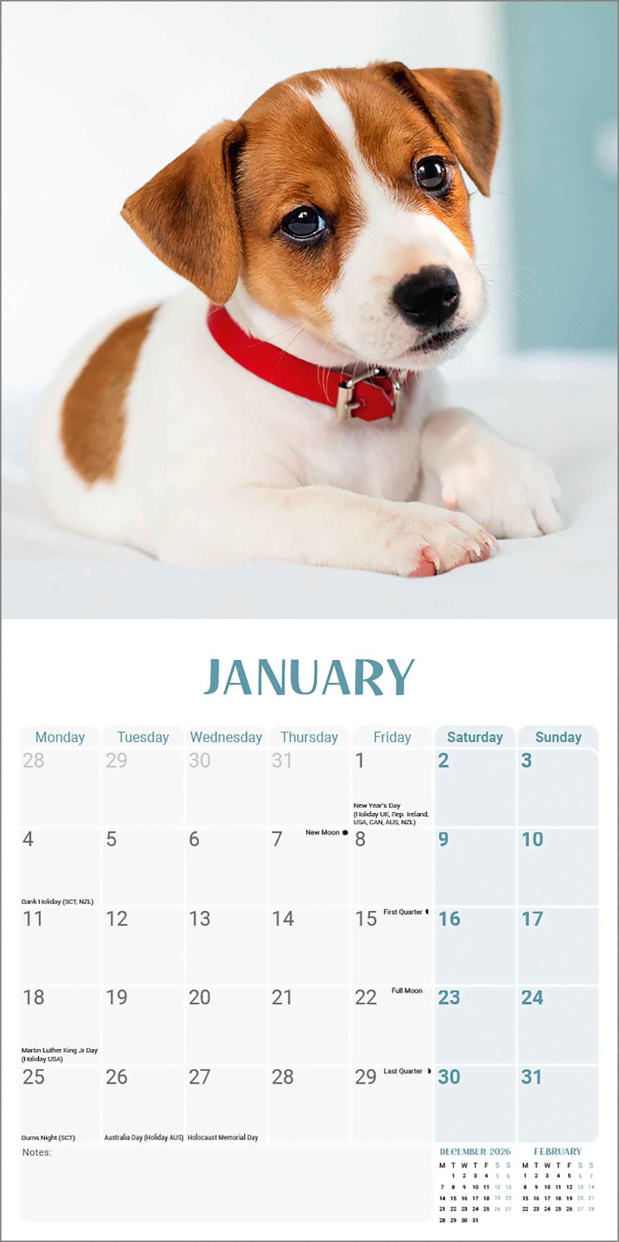 Jack Russell Puppies Mini Calendar 2027