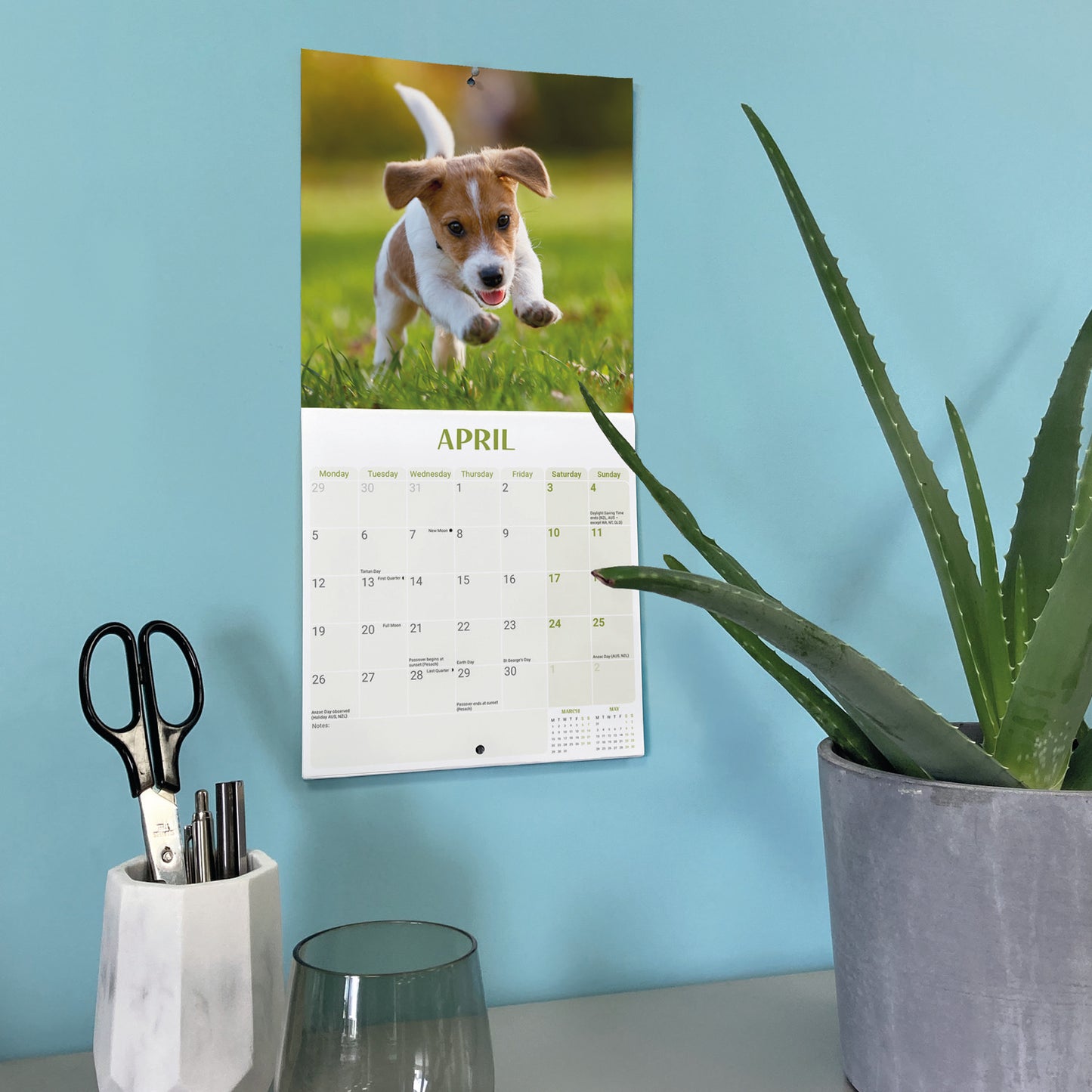 Jack Russell Puppies Mini Calendar 2027