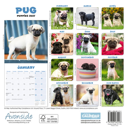 Pug Puppies Mini Calendar 2027
