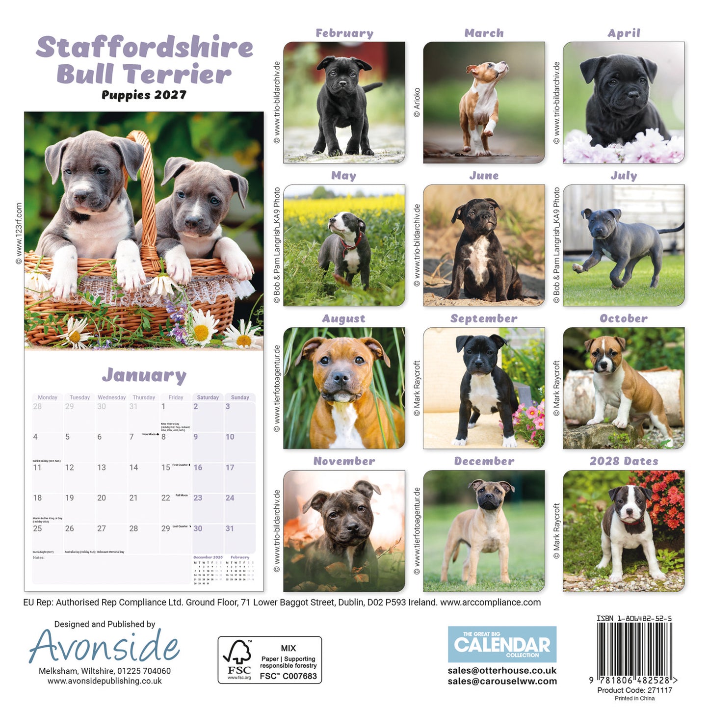 Staffordshire Bull Terrier Puppies Mini Calendar 2027