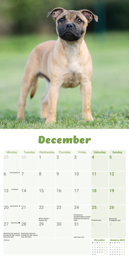 Staffordshire Bull Terrier Puppies Mini Calendar 2027