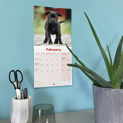 Staffordshire Bull Terrier Puppies Mini Calendar 2027