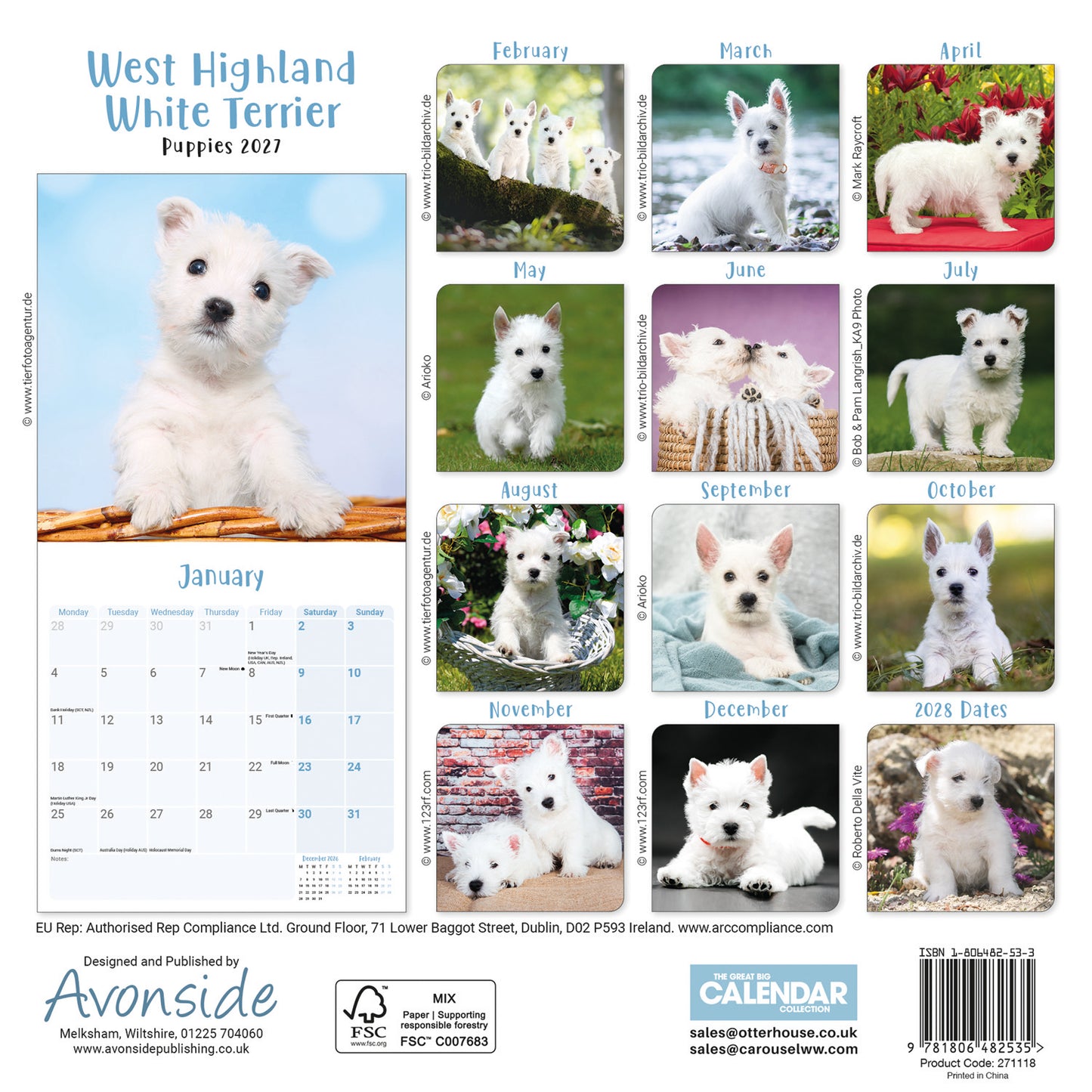 West Highland White Terrier Puppies Mini Calendar 2027