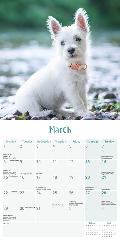 West Highland White Terrier Puppies Mini Calendar 2027
