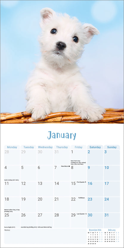 West Highland White Terrier Puppies Mini Calendar 2027