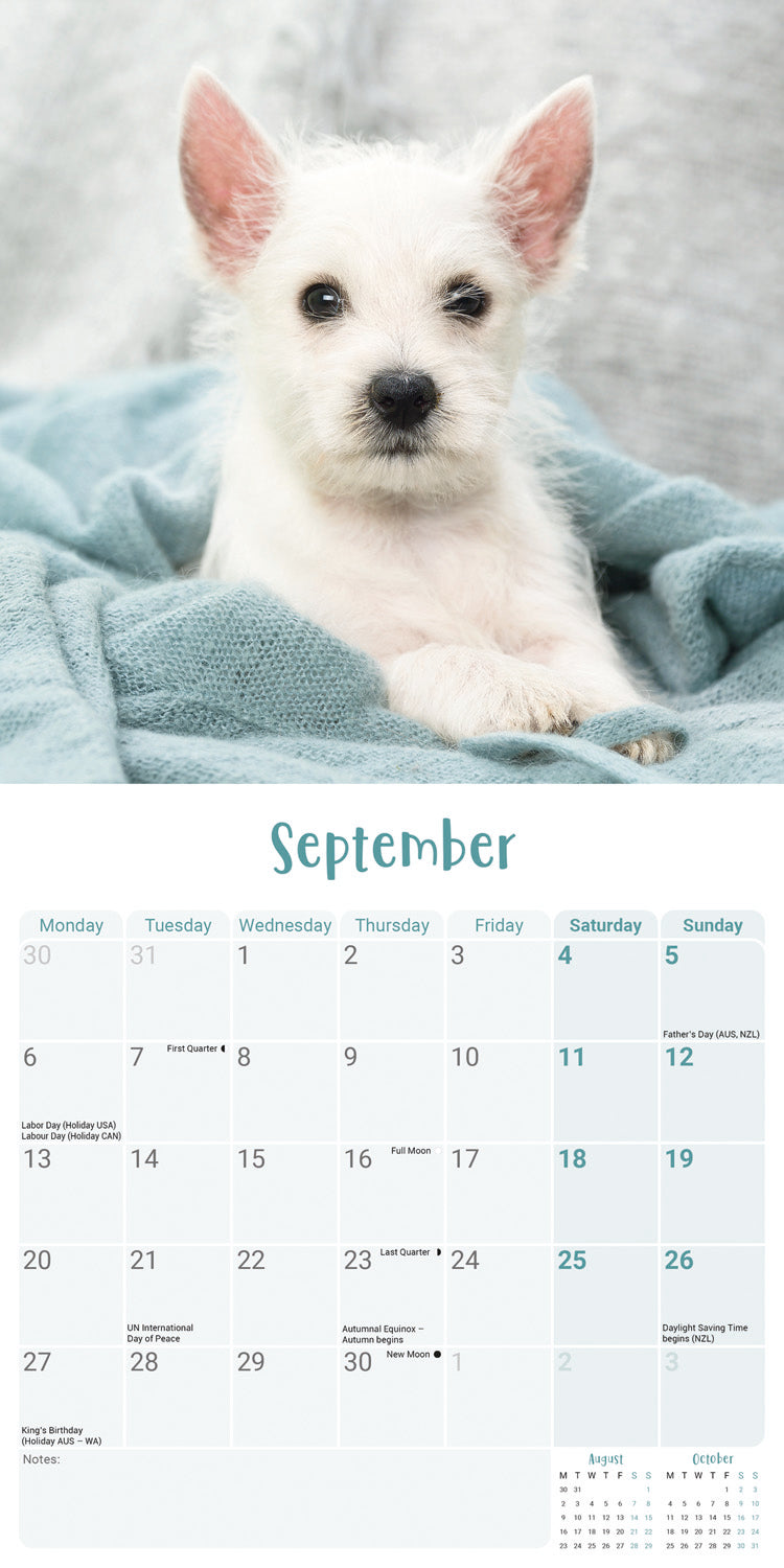 West Highland White Terrier Puppies Mini Calendar 2027
