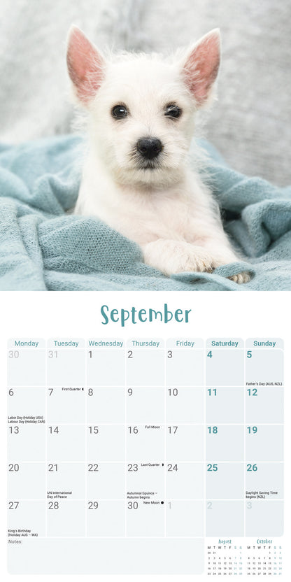 West Highland White Terrier Puppies Mini Calendar 2027