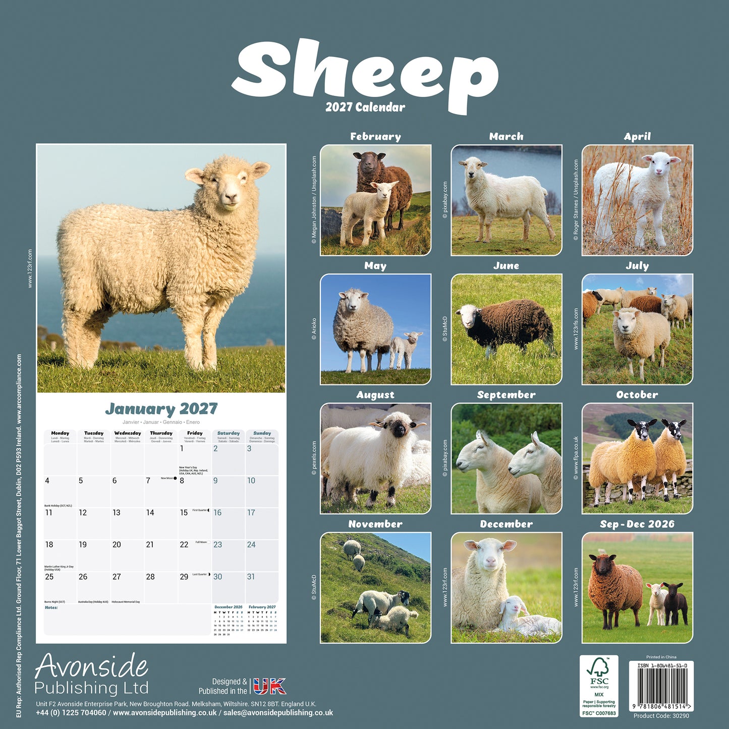 Sheep Wall Calendar 2027