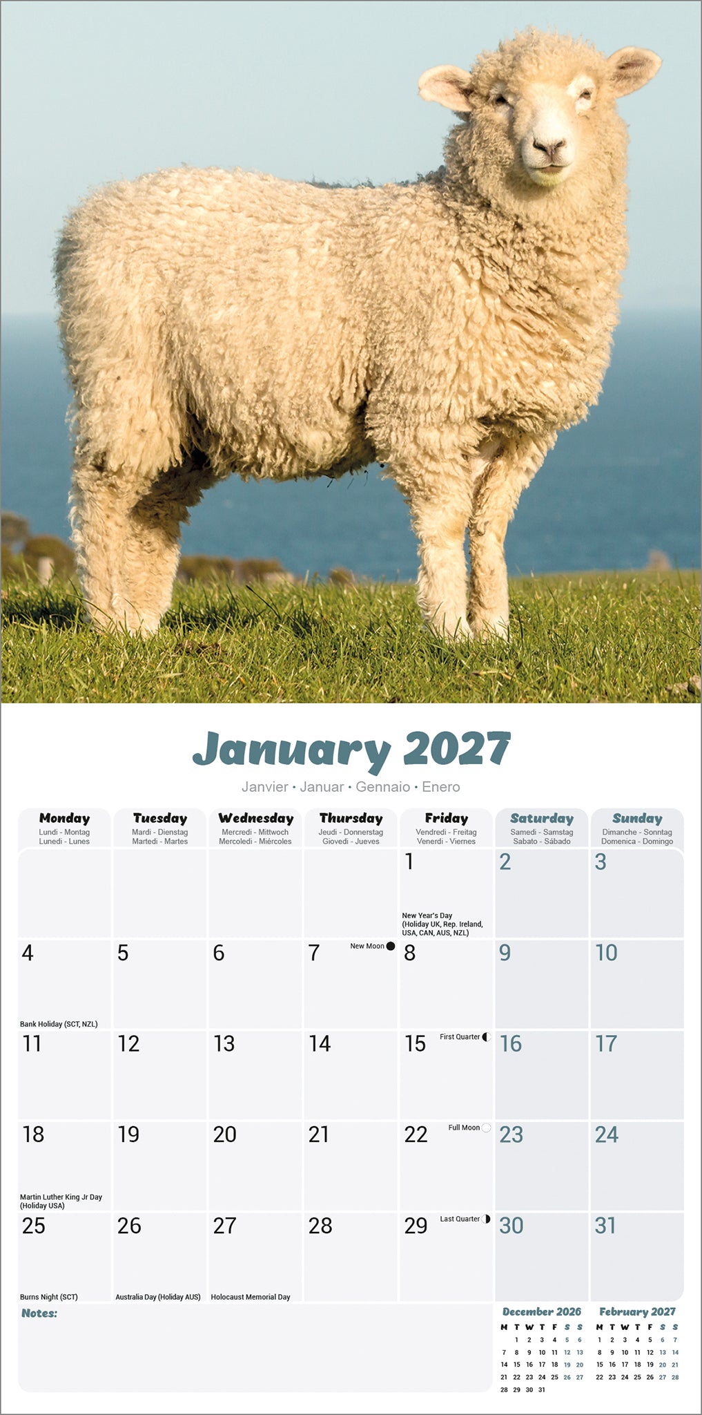 Sheep Wall Calendar 2027