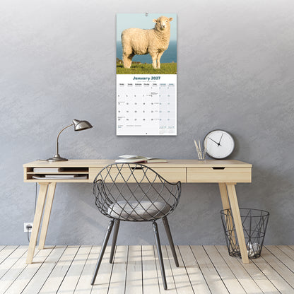 Sheep Wall Calendar 2027