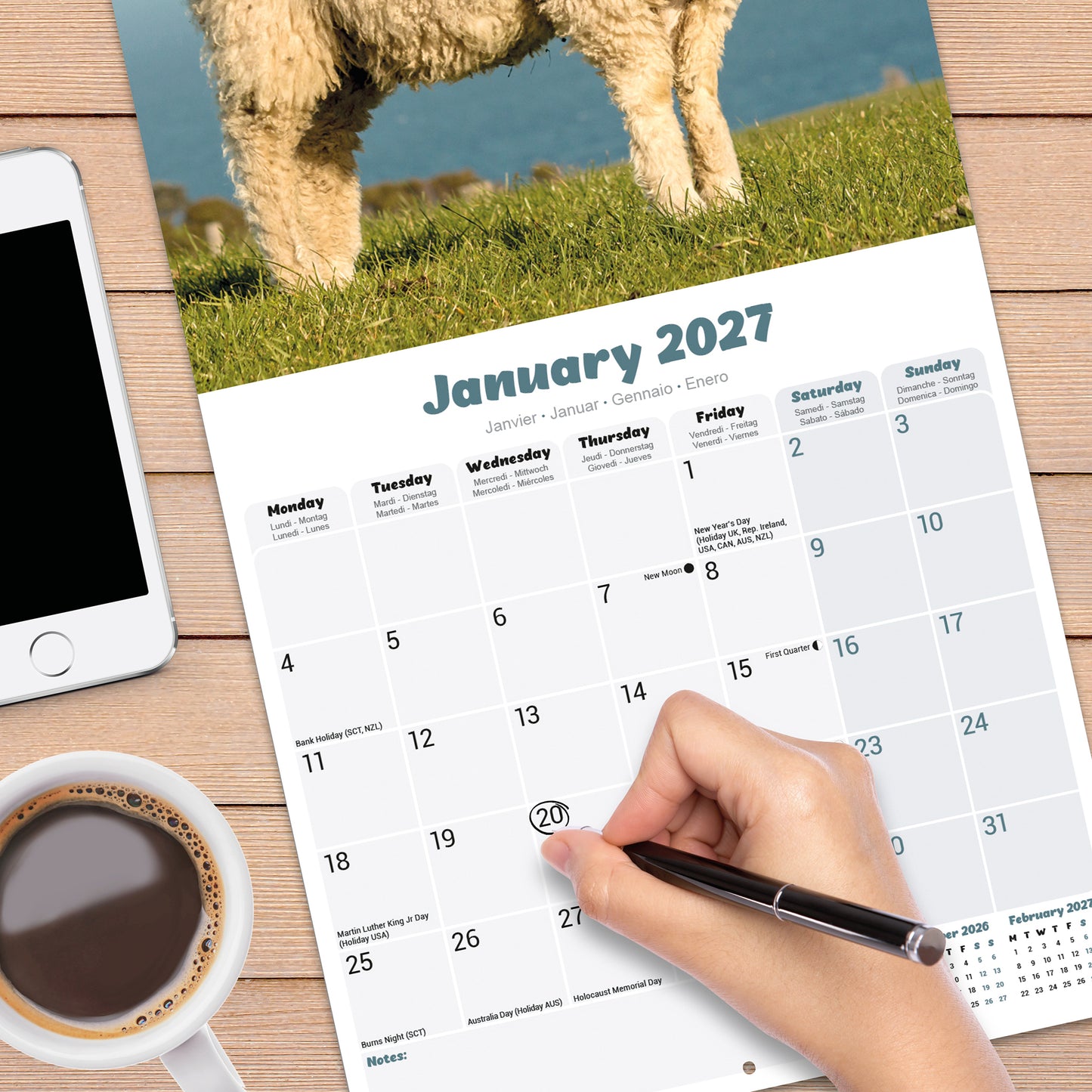 Sheep Wall Calendar 2027