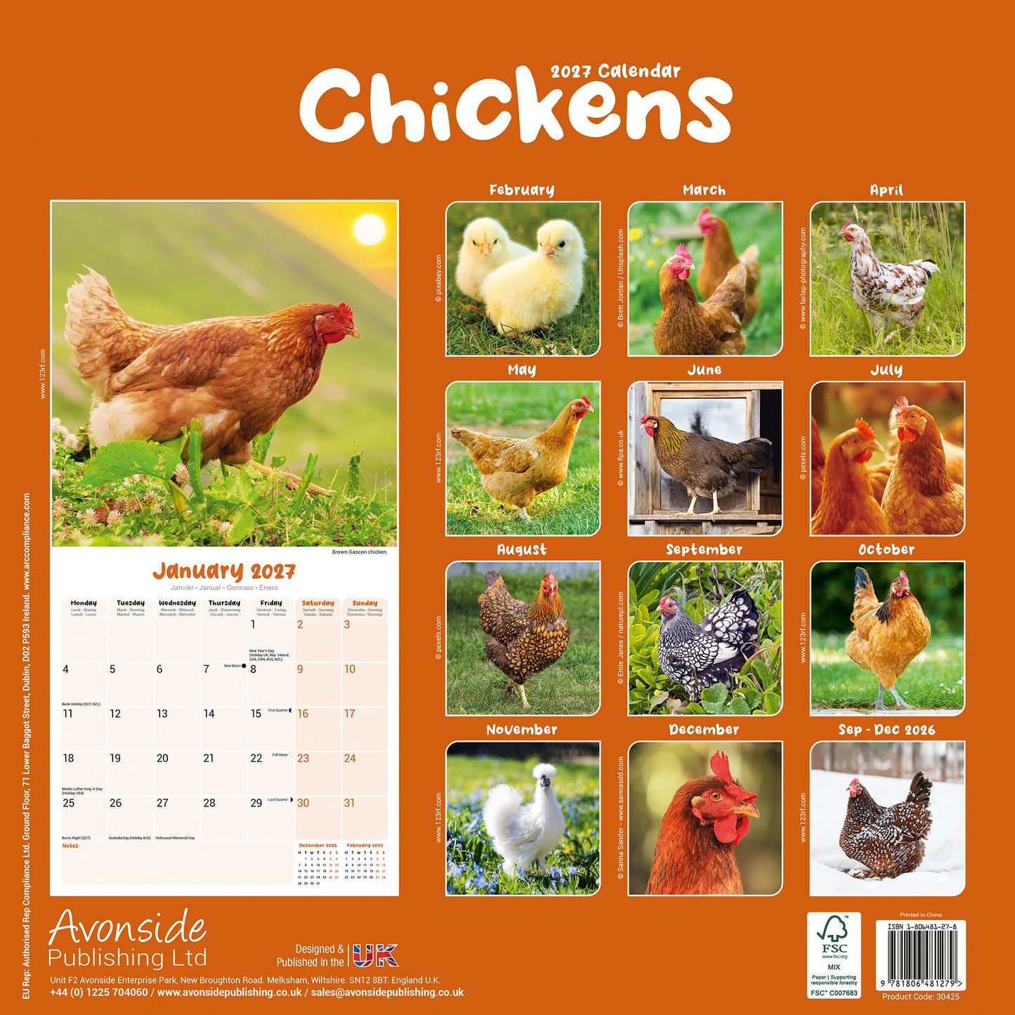 Chickens Wall Calendar 2027