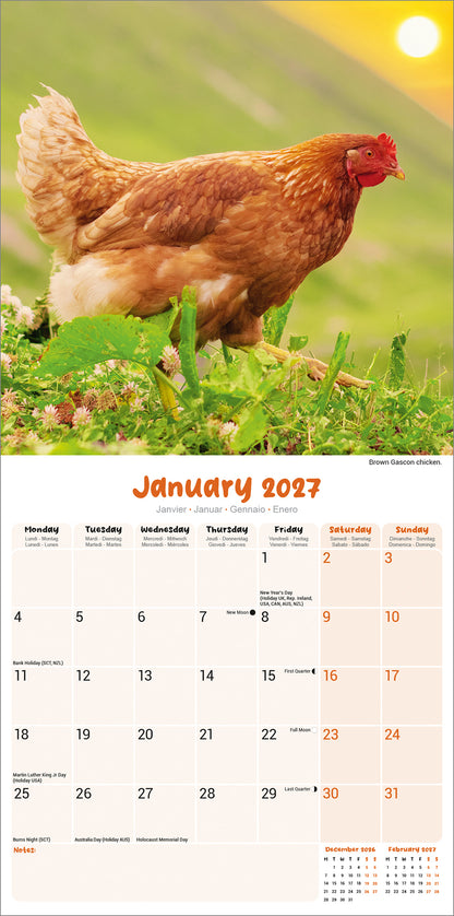 Chickens Wall Calendar 2027