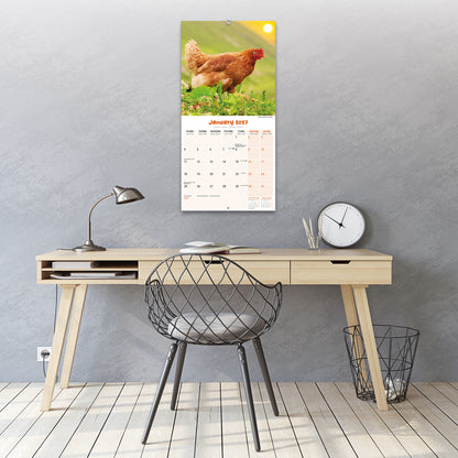 Chickens Wall Calendar 2027